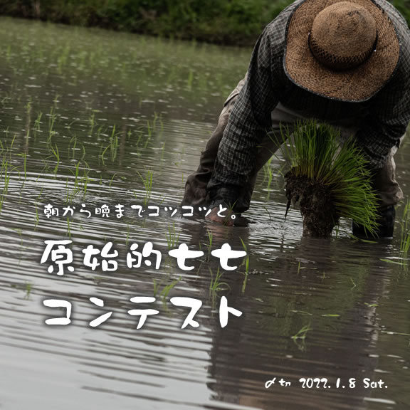 朝から晩までコツコツと。原始的七七コンテスト