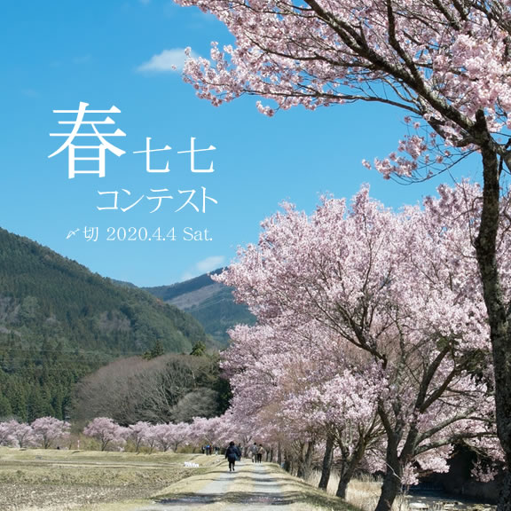 春からはじめよう。春七七コンテスト
