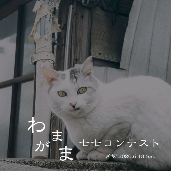 人の目なんて気にしない。わがまま七七コンテスト