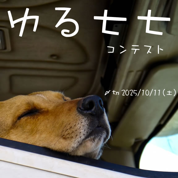 気が向いたら。ゆる七七コンテスト