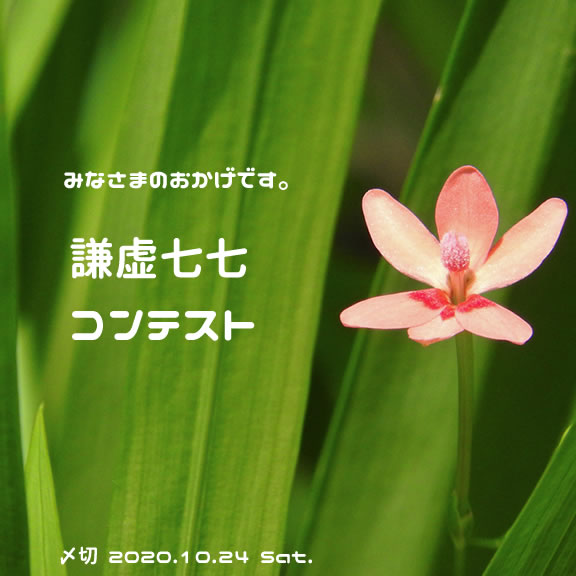 みなさまのおかげです。謙虚七七コンテスト